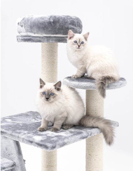 Two white cats resting on cat tree