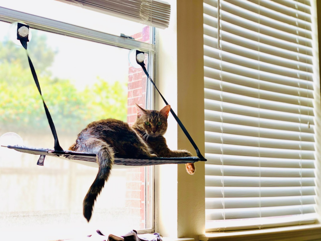 Cat hammock bed
