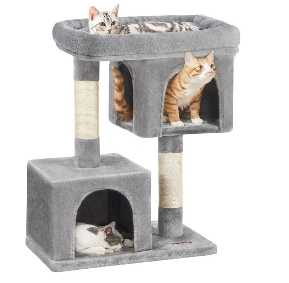 Modern cat furniture for large cats