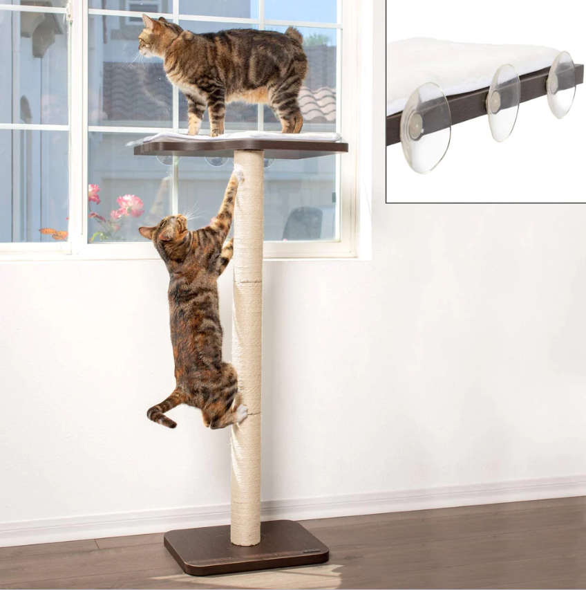 The PetFusion Ultimate Cat Window Climbing Perch